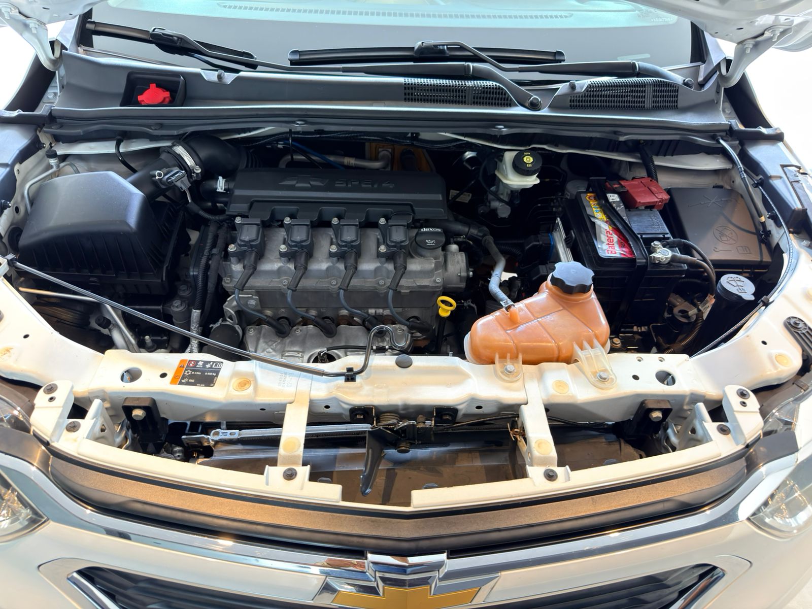 WhatsApp Image 2026-01-09 at 15.16.44