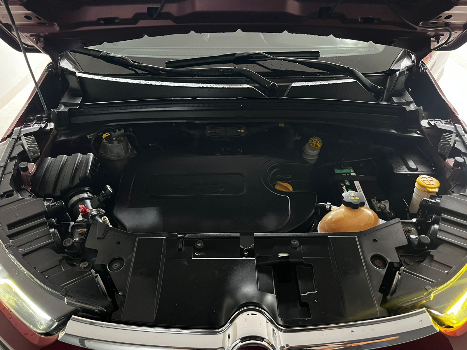 WhatsApp Image 2026-02-25 at 17.40.53