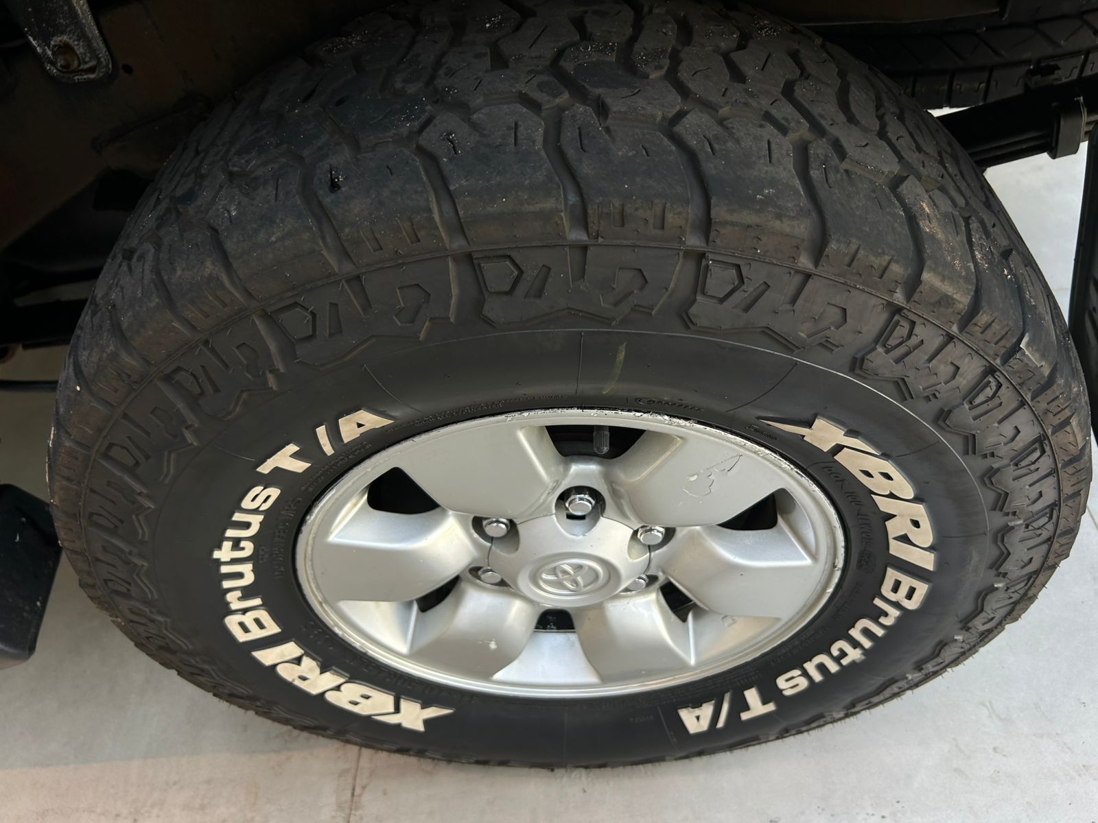 WhatsApp Image 2026-02-11 at 14.45.08