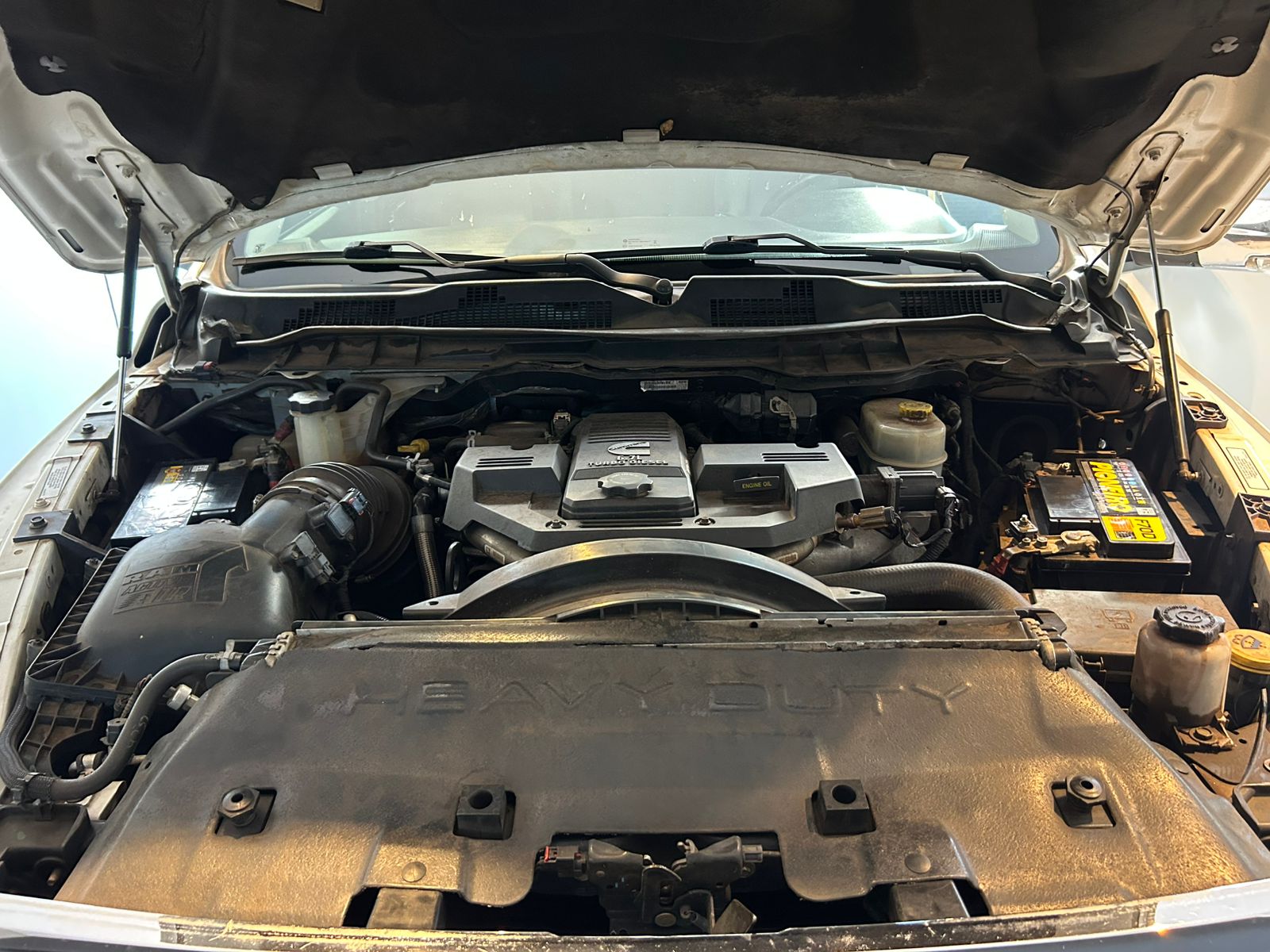 WhatsApp Image 2026-03-03 at 22.17.02 (2)